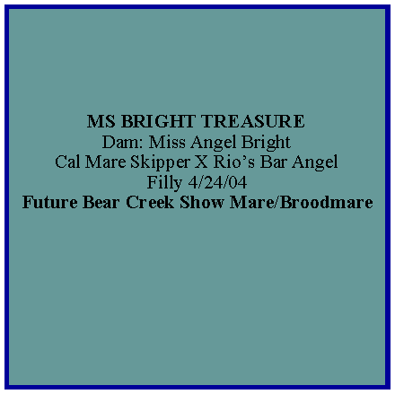 Text Box: MS BRIGHT TREASUREDam: Miss Angel BrightCal Mare Skipper X Rios Bar AngelFilly 4/24/04Future Bear Creek Show Mare/Broodmare