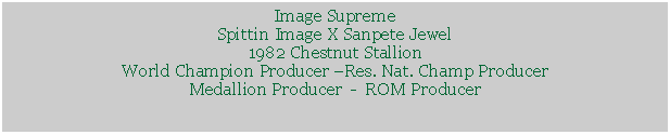 Text Box: Image SupremeSpittin Image X Sanpete Jewel1982 Chestnut StallionWorld Champion Producer Res. Nat. Champ ProducerMedallion Producer  -  ROM Producer