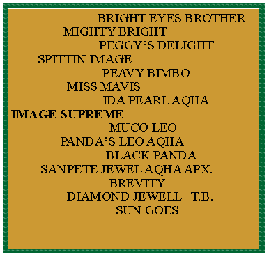 Text Box:                                  BRIGHT EYES BROTHER                MIGHTY BRIGHT                           PEGGYS DELIGHT        SPITTIN IMAGE                            PEAVY BIMBO                 MISS MAVIS                            IDA PEARL AQHAIMAGE SUPREME                              MUCO LEO               PANDAS LEO AQHA                             BLACK PANDA         SANPETE JEWEL AQHA APX.                              BREVITY                 DIAMOND JEWELL   T.B.                                SUN GOES 