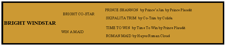 Text Box:                                                                                                           PRINCE SHANNON  by Princes Jim by Prince Plaudit                                                              BRIGHT CO-STAR                                                                                                           SKIPALITA TRIM  by Co-Trim by ColidaBRIGHT WINDSTAR                                                                                                           TIME TO WIN  by Time To Win by Prince Plaudit                                                            WIN A MAID                                                                                                           ROMAN MAID by Hayes Roman Cloud