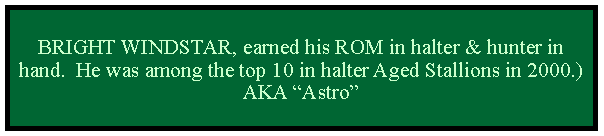 Text Box: BRIGHT WINDSTAR, earned his ROM in halter & hunter in hand.  He was among the top 10 in halter Aged Stallions in 2000.) AKA Astro