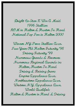 Text Box: Bright Co-Star X Win A Maid1996 StallionROM in Halter & Hunter In HandNational Top Ten in Halter 2000Winner NY-Penn Stallion Assn.Two Year Old Halter Futurity 98Driving Futurity 99Numerous Grands & ReservesNumerous Regional Awards in:Halter, Hunter In HandDriving & Reining from:Empire Appaloosa Assn.Northeastern Appaloosa Assn.Western N.Y. Appaloosa Assn.World Qualifed:Halter & Hunter in Hand & Driving