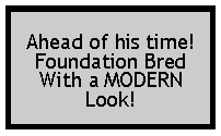 Text Box: Ahead of his time! Foundation BredWith a MODERNLook!