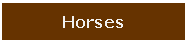 Text Box: Horses